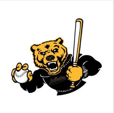 Golden Bear