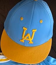 Upper Arlington baseball hat